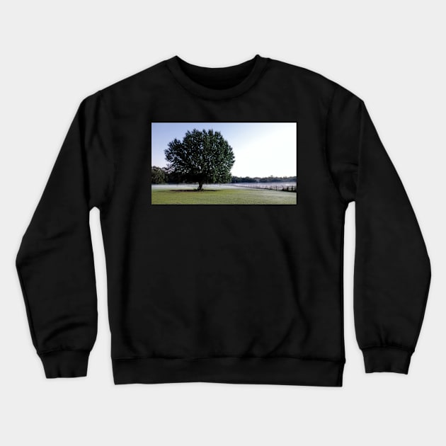 Tree in Pasture Crewneck Sweatshirt by EileenMcVey